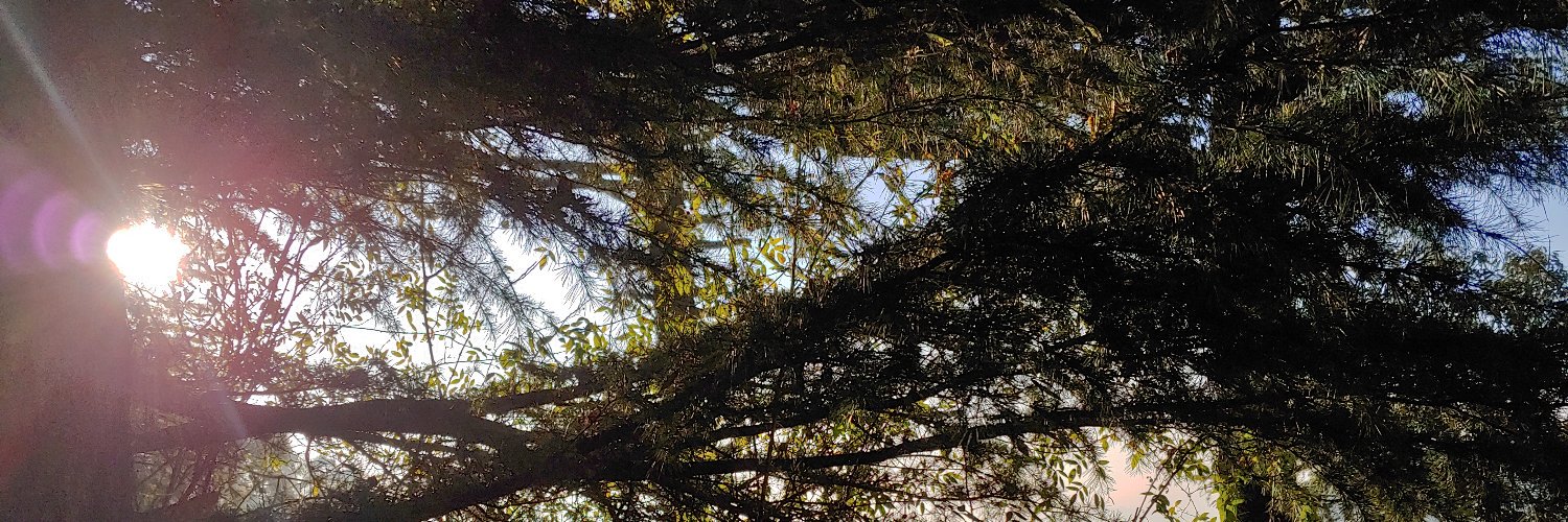 DhadwalAnkit's profile banner image