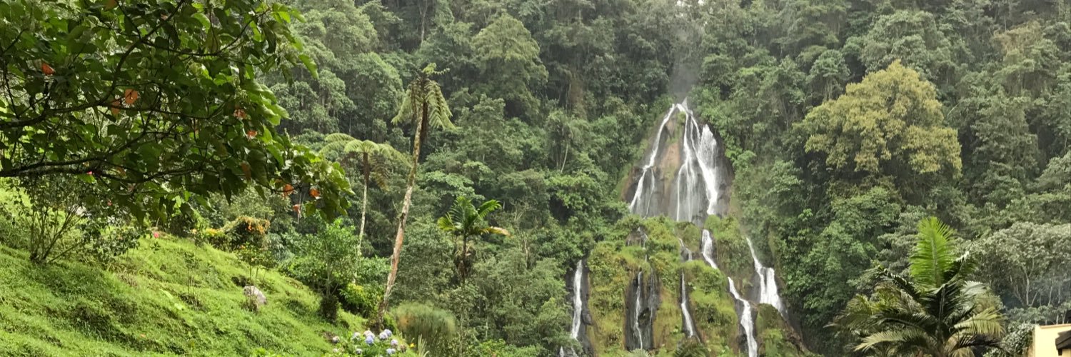 JTMartinp's profile banner image