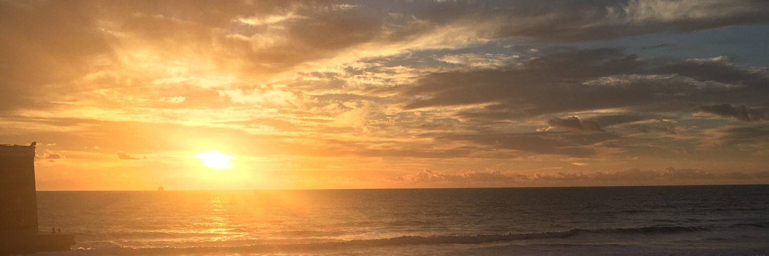 _ShellllDegs's profile banner image