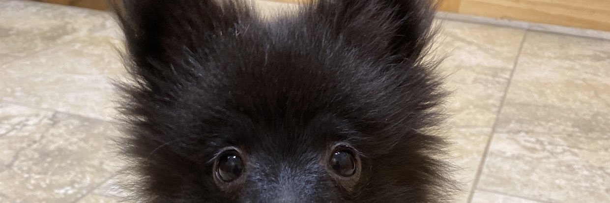bbarksdale_'s profile banner image