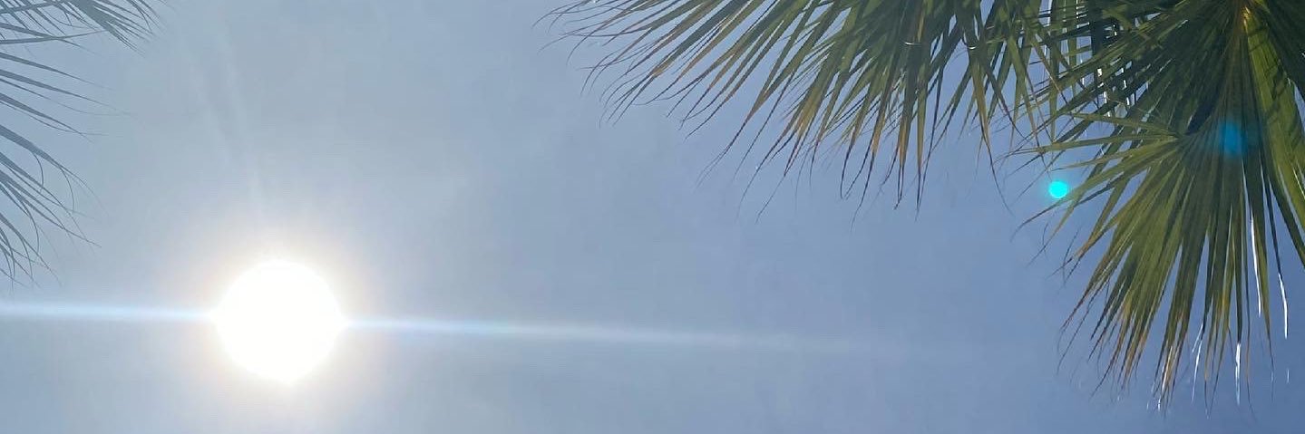 shanixdani's profile banner image