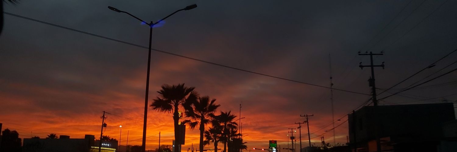 pauloptov's profile banner image