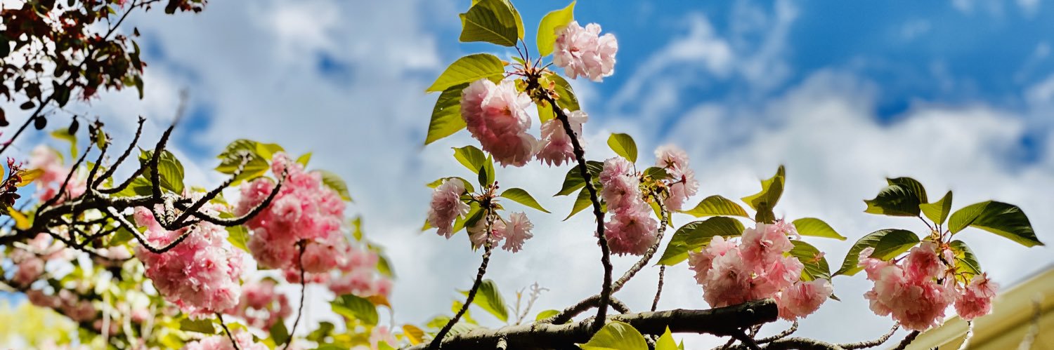 Elizabeth Has Science Homework (Keene) banner