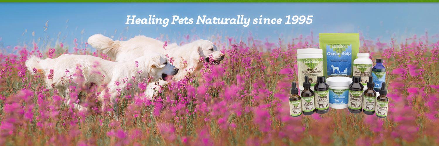 ForAnimalLovers's profile banner image