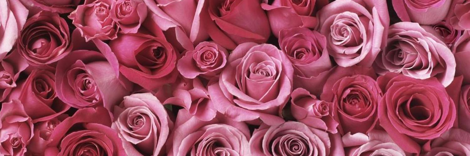 louisewinter's profile banner image