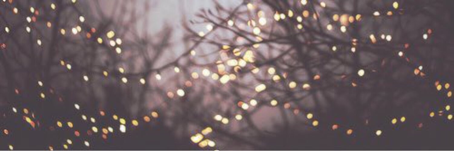 yuckycatfish's profile banner image