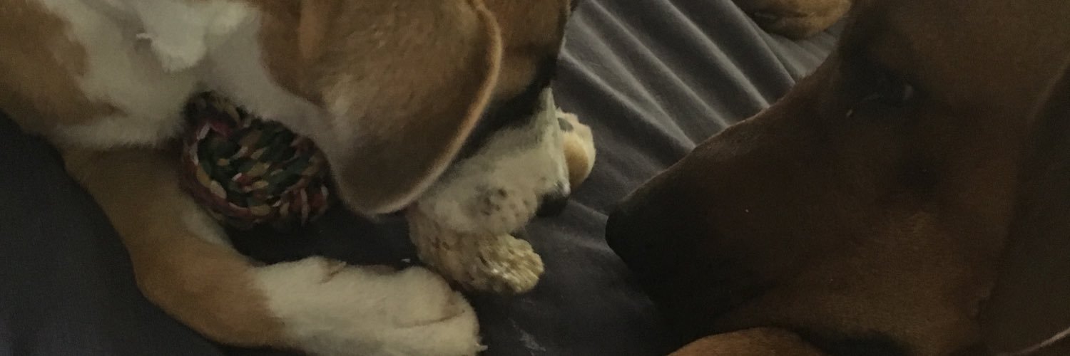 Misspickyp's profile banner image