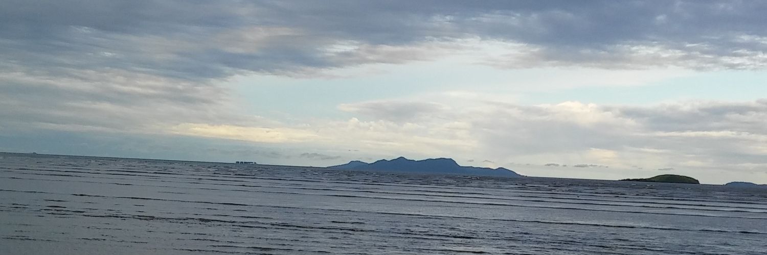 carolivet's profile banner image
