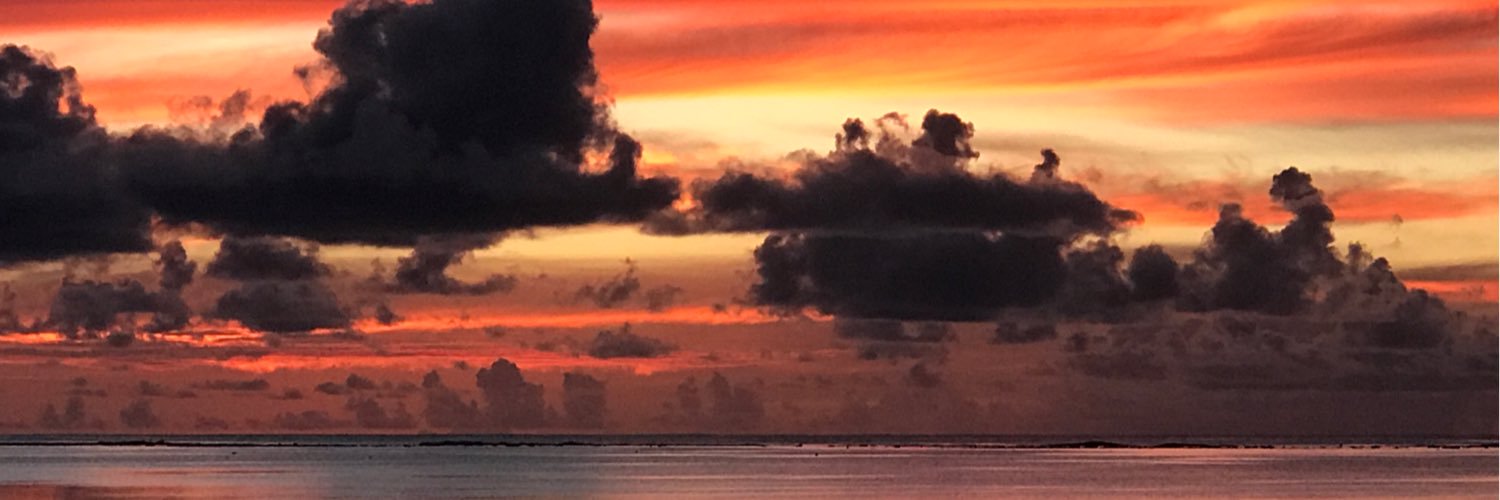 sandyrhall's profile banner image