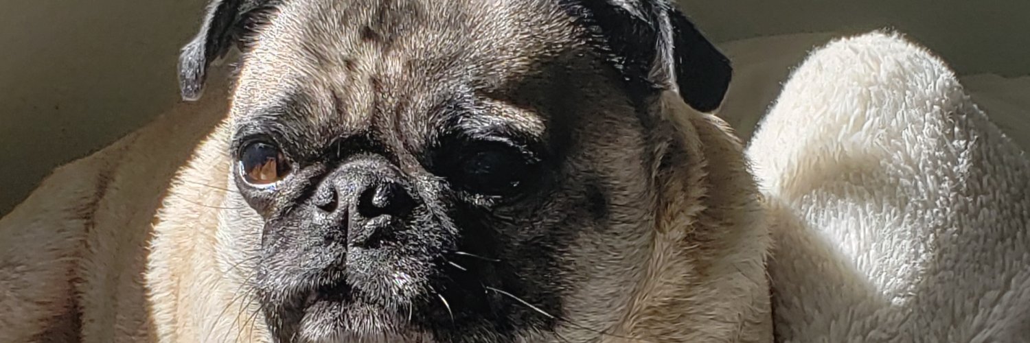 AlexClupper's profile banner image