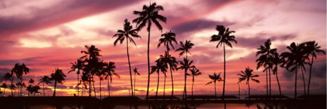 NicoleDeLong20's profile banner image