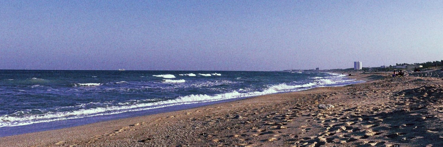 allisonp36's profile banner image