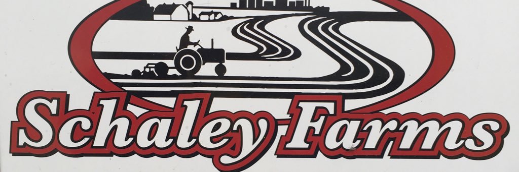 Beau Schaley banner