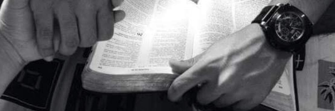 Caroline_Pace's profile banner image