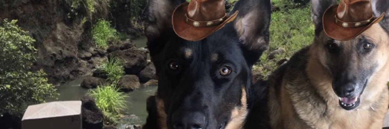 SydNugent's profile banner image