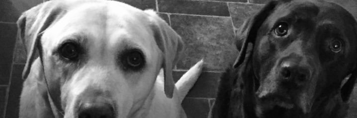 Coco_miles's profile banner image