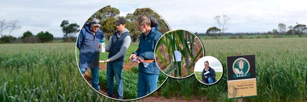 SAGrainTrust Profile Banner