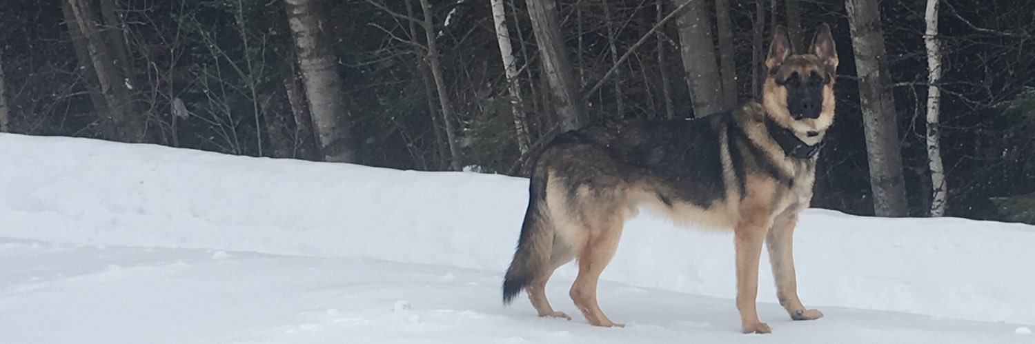 DillonHuth's profile banner image