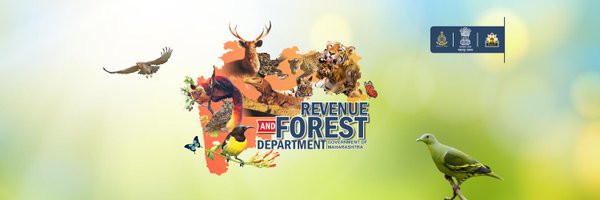 Maha Forest Official Profile Banner