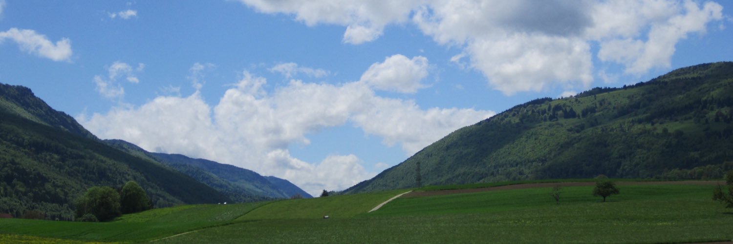 swinisto's profile banner image