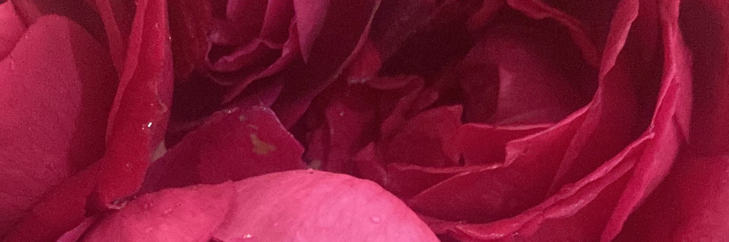 MEENASTON's profile banner image