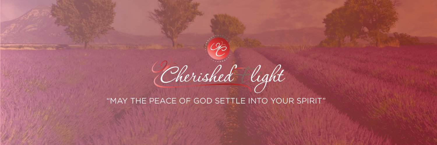 cherishedflight's profile banner image