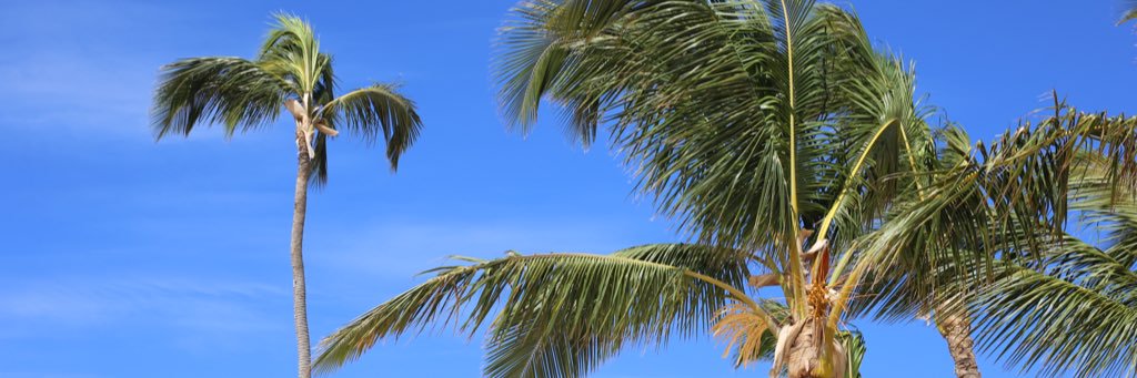Alonnso's profile banner image