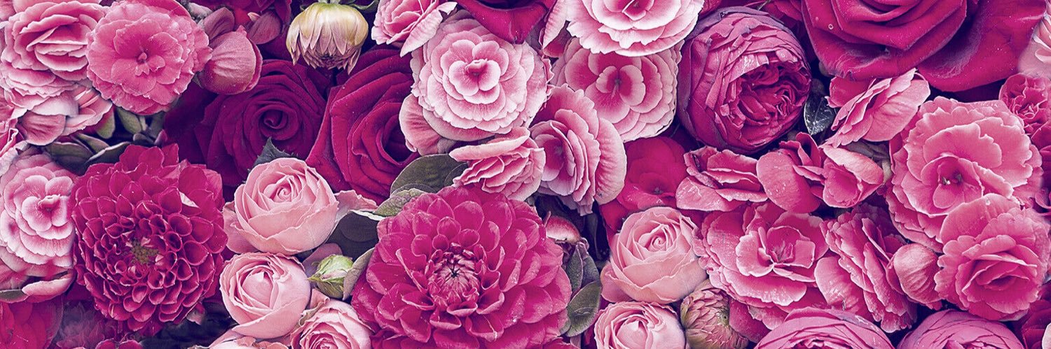 _lrxo's profile banner image