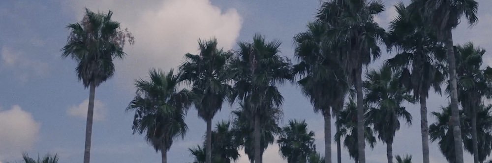 Hanouva's profile banner image