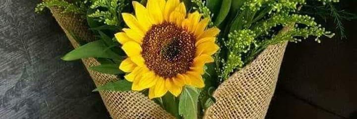 Doris_NavarroF's profile banner image