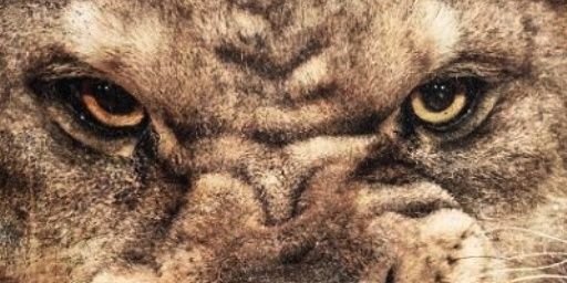 JAVI_ST's profile banner image
