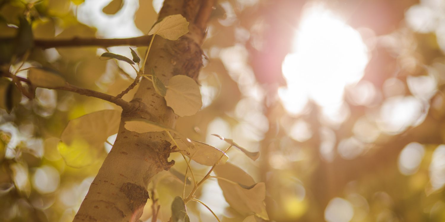 adriaphoto's profile banner image