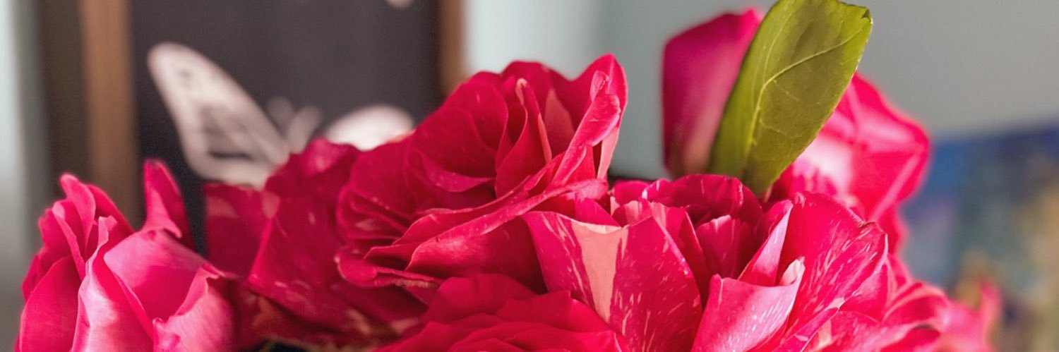 MariaDileone's profile banner image