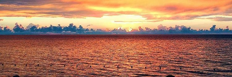 AlexisSclamberg's profile banner image