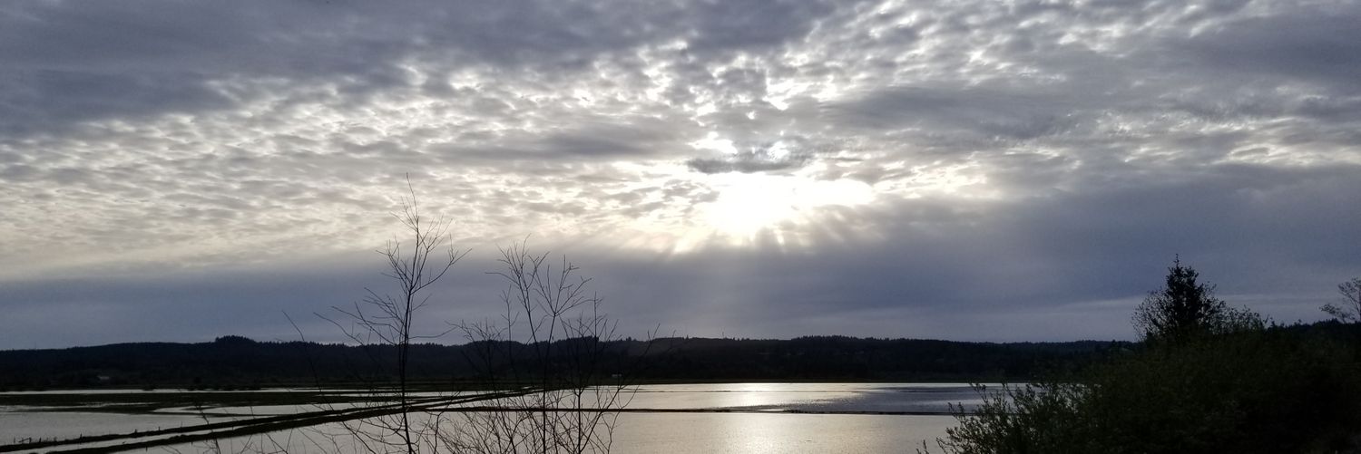 RillySillyGirl's profile banner image