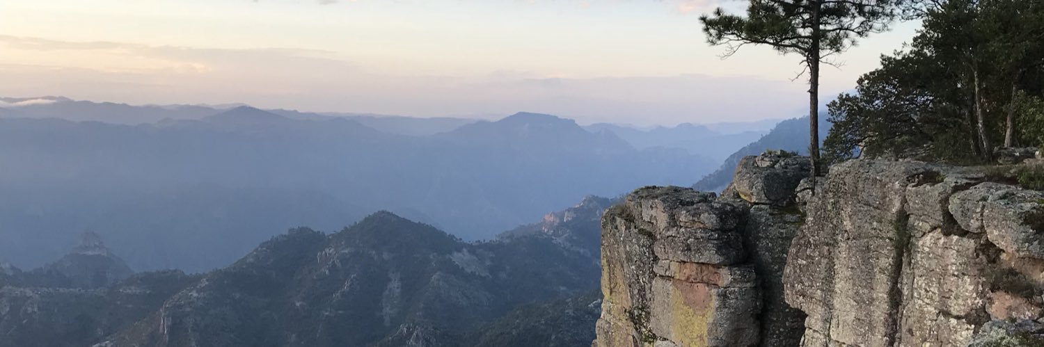 FernandoTN's profile banner image