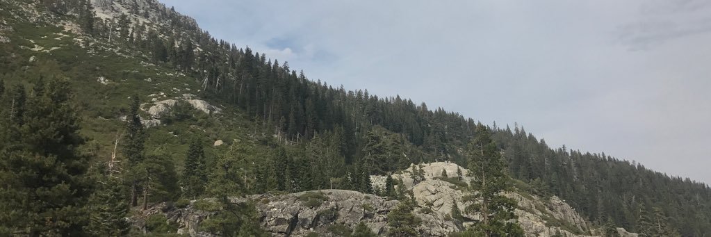 _asianrun_'s profile banner image
