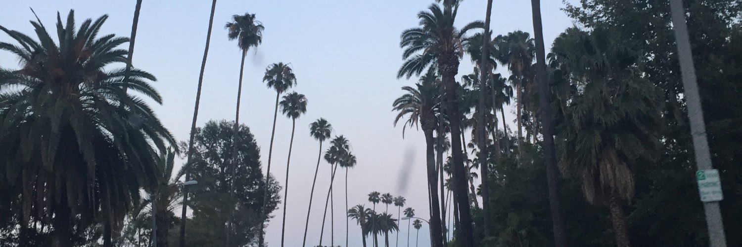 PaytonBelella1's profile banner image