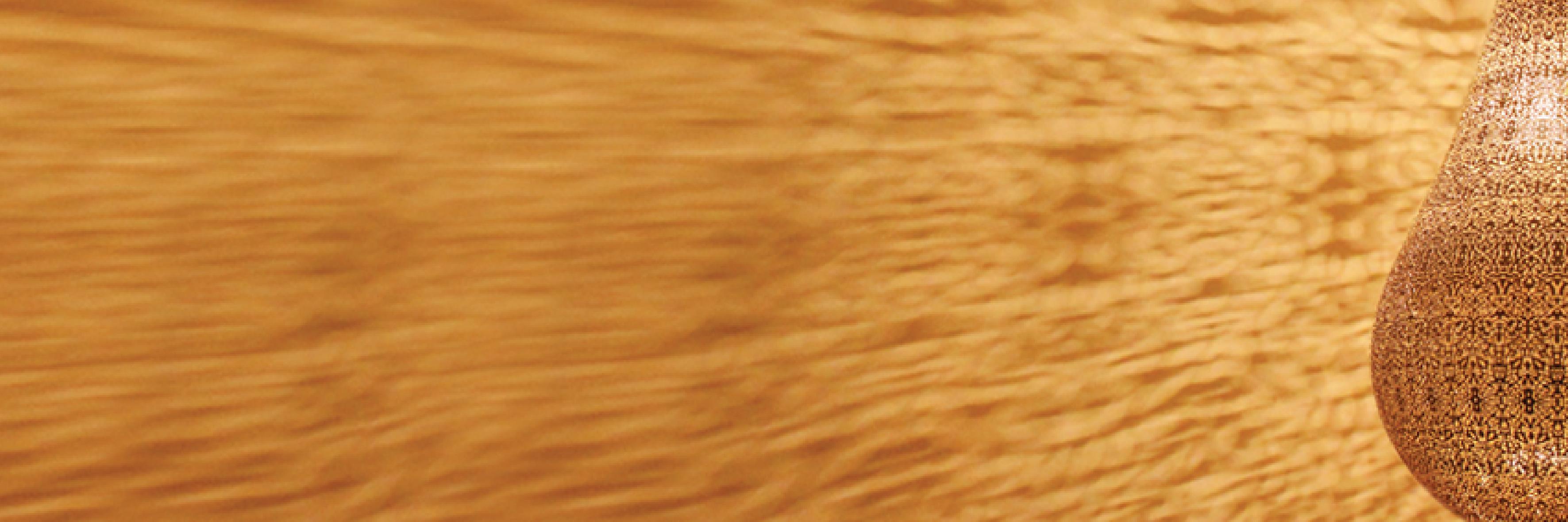 BrasslightIntl's profile banner image
