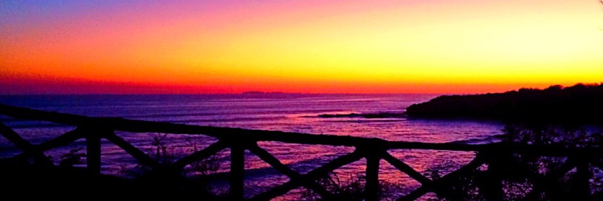 jocelynpollard's profile banner image