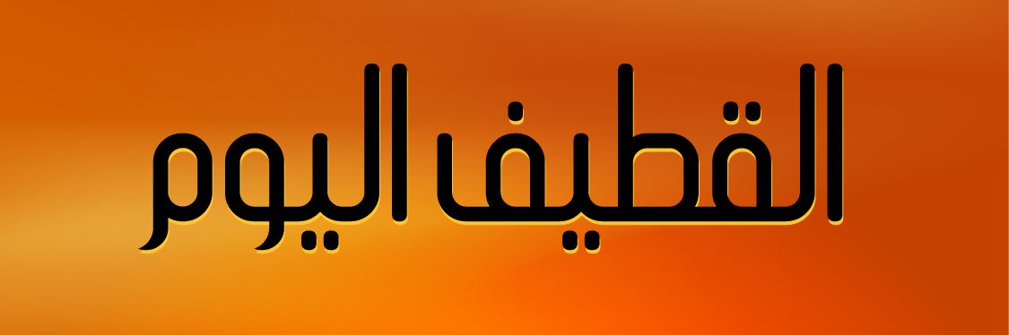 القطيف اليوم banner