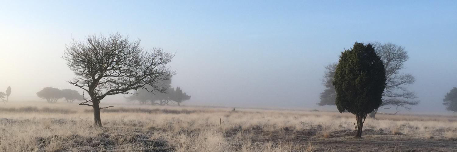 wybrich's profile banner image