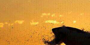 sergio_canete's profile banner image