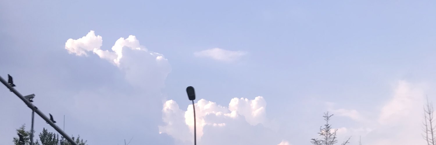 tuiomoo's profile banner image