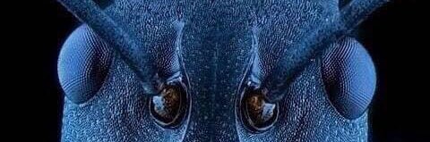 cjmonge's profile banner image