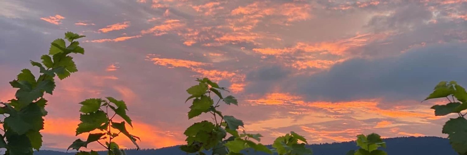 Stewart_lil's profile banner image