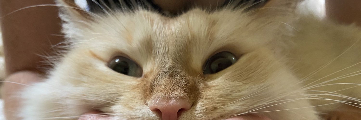 justgobble's profile banner image