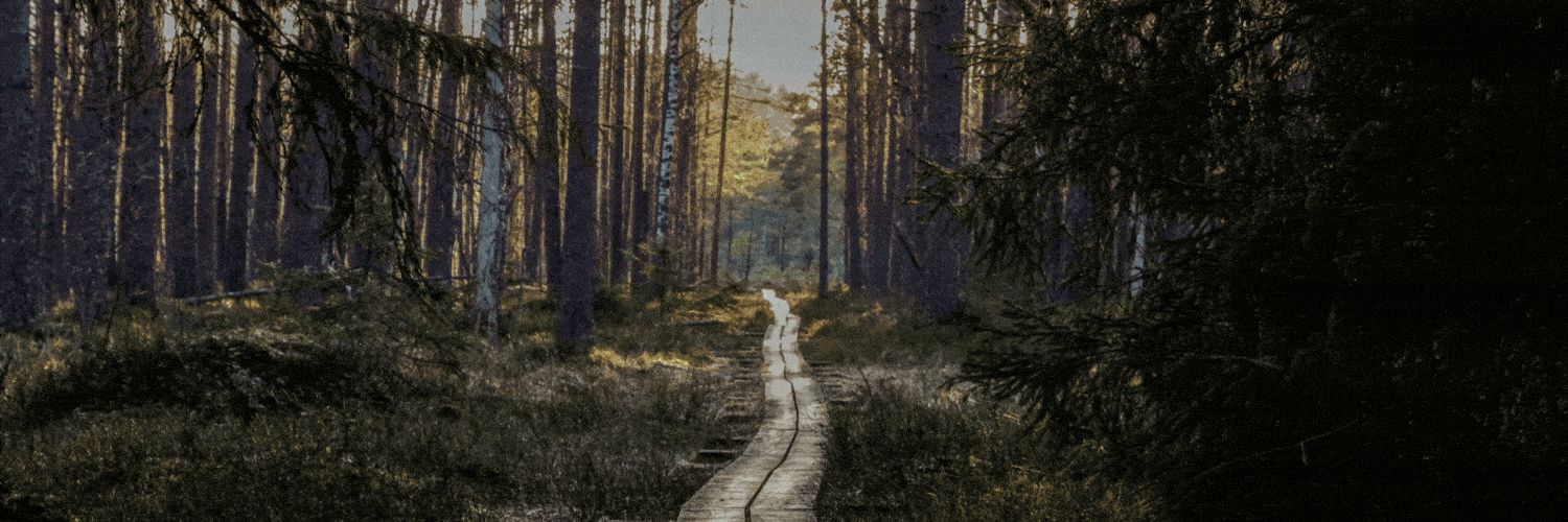 runn1nman's profile banner image