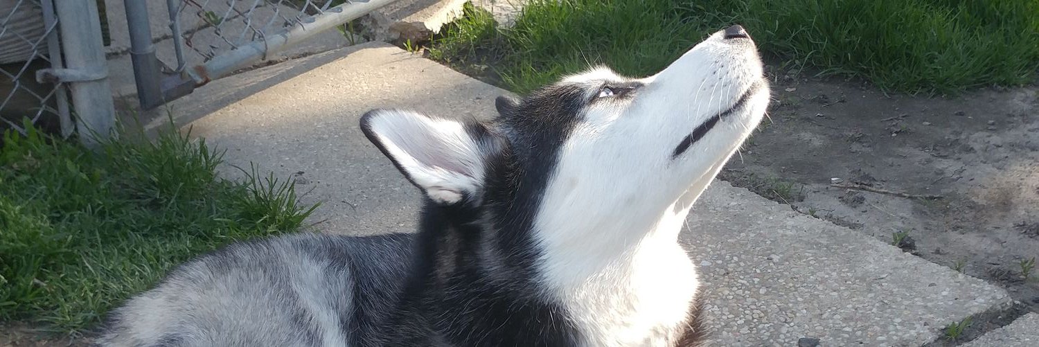 mpzbro's profile banner image