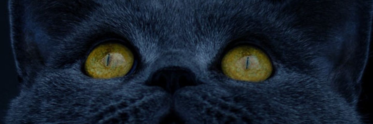 filledtothecap's profile banner image